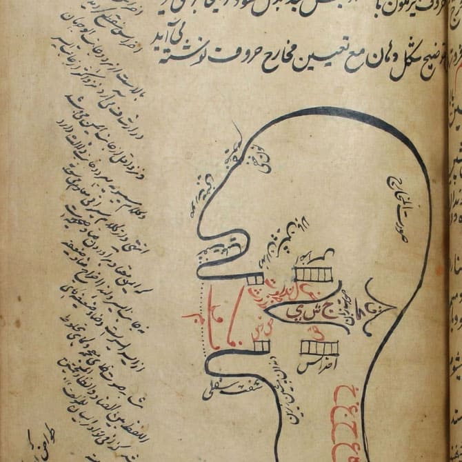 Introductory Tajwīd I